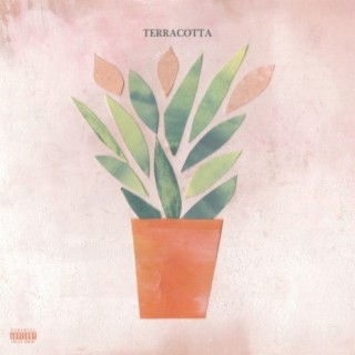 Terracotta (No Limit)