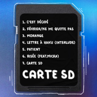 CARTE SD