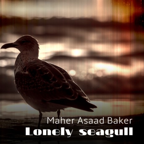 Lonely seagull | Boomplay Music