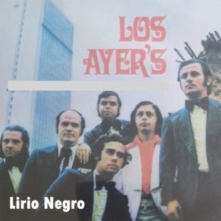 Lirio Negro