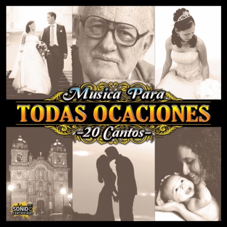 Te Canto en Tu Dia | Boomplay Music