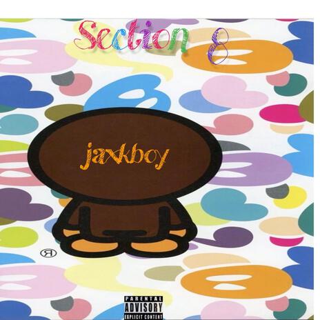 Section 8