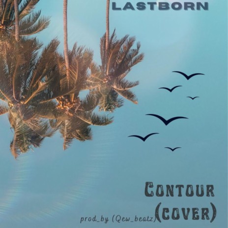 Contour (Cover)