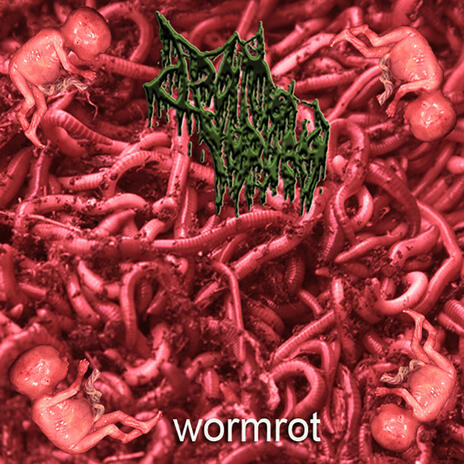 Wormrot | Boomplay Music