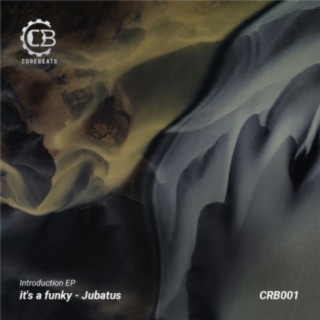 It´s a funky (CRB01)