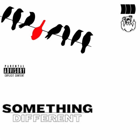 Something Different | Boomplay Music