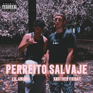 Perreito Salvaje