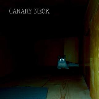 Canary Neck