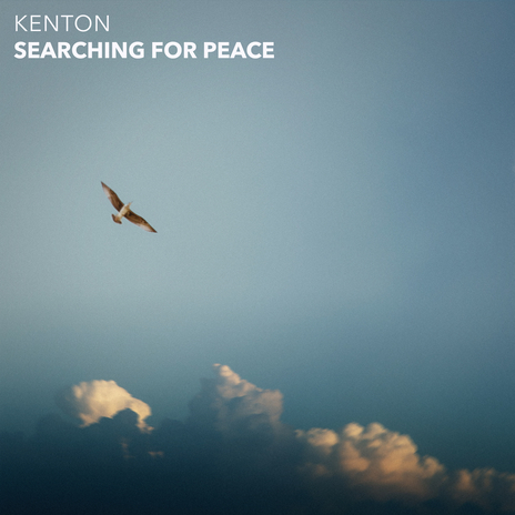 Searching For Peace | Boomplay Music