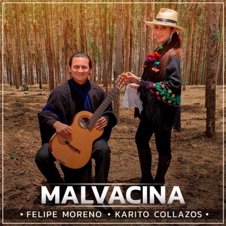 Malvacina ft. Karito Collazos | Boomplay Music