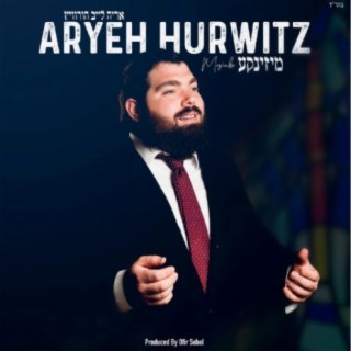 Aryeh Leib Hurwitz