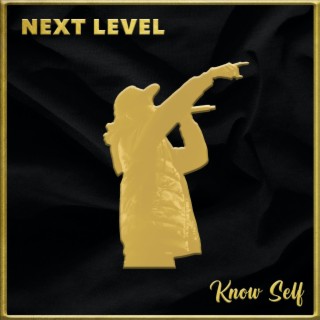 NEXT LEVEL lyrics | Boomplay Music