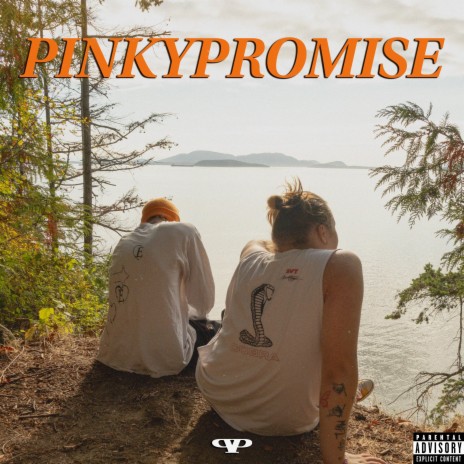 PINKYPROMISE ft. Dovahnoface & Aspekt | Boomplay Music