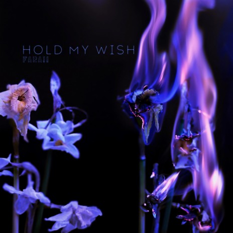 Hold My Wish | Boomplay Music