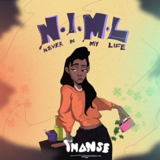 Never In My Life - N.I.M.L lyrics | Boomplay Music