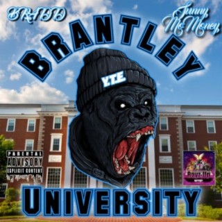 Brantley University