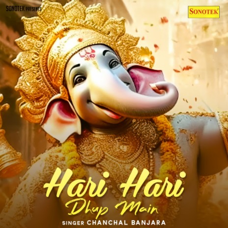 Hari Hari Dhup Main | Boomplay Music