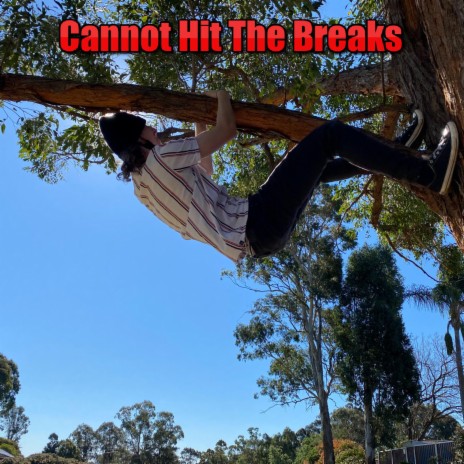 Cannot Hit The Breaks | Boomplay Music