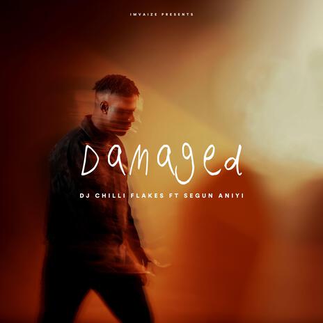 Damaged ft. DJ Chilli Flakes | Boomplay Music