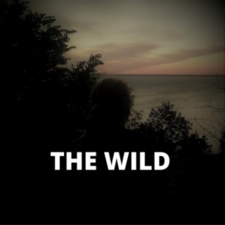 The Wild