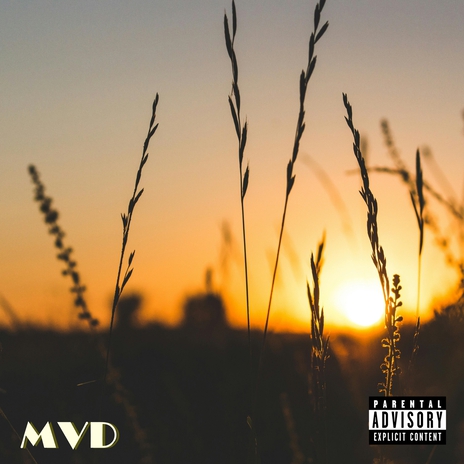 MVD | Boomplay Music