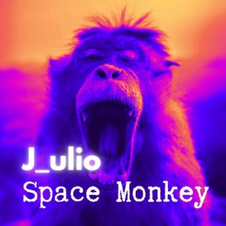 Space Monkey