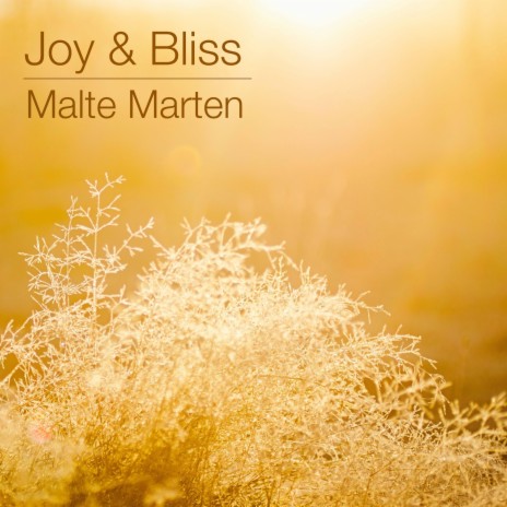 Joy & Bliss ft. Malte Marten