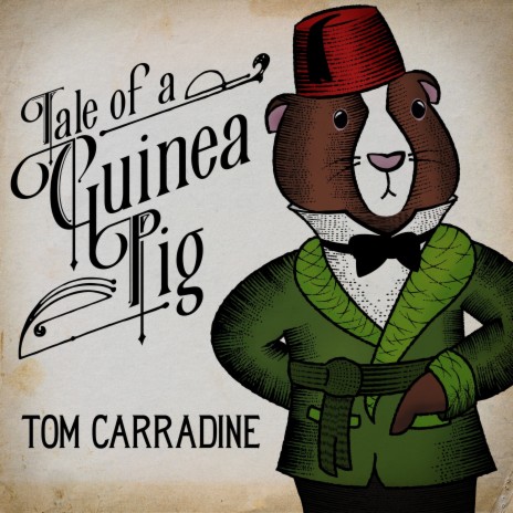 Tale of a Guinea Pig | Boomplay Music