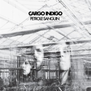 Cargo Indigo