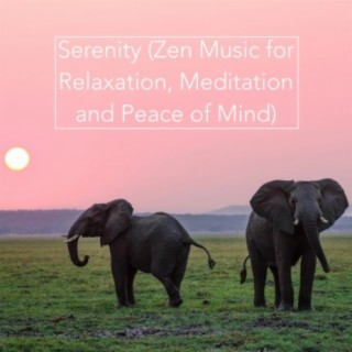 Serenity (Zen Music for Relaxation, Meditation and Peace of Mind)