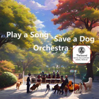 Play a Song Save a Dog Orchestra