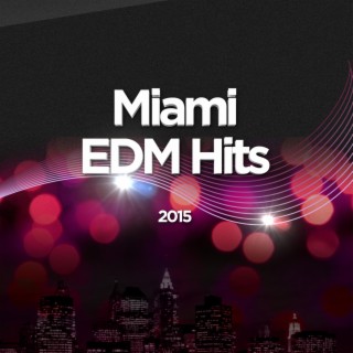 Miami EDM Hits 2015