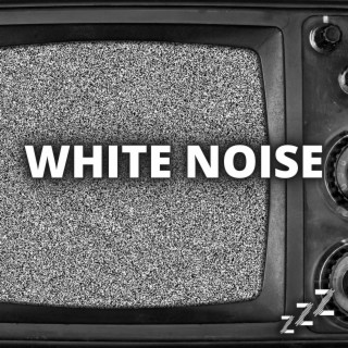 Static White Noise (Loop, No Fade)