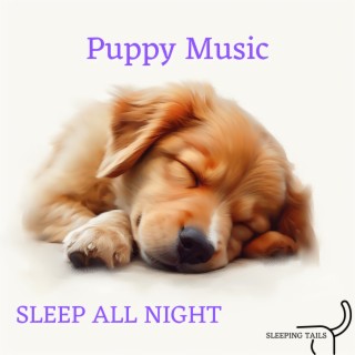 Puppy Music: Sleep All Night