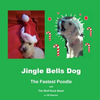 Jingle Bells Dog