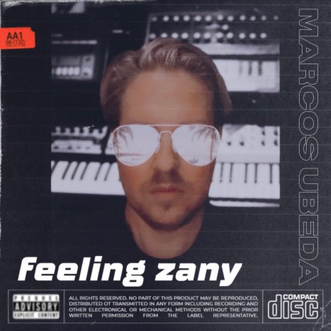 Feeling Zany | Boomplay Music