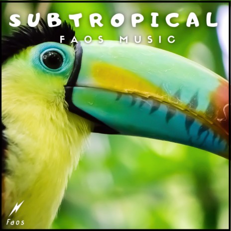 Subtropical | Boomplay Music