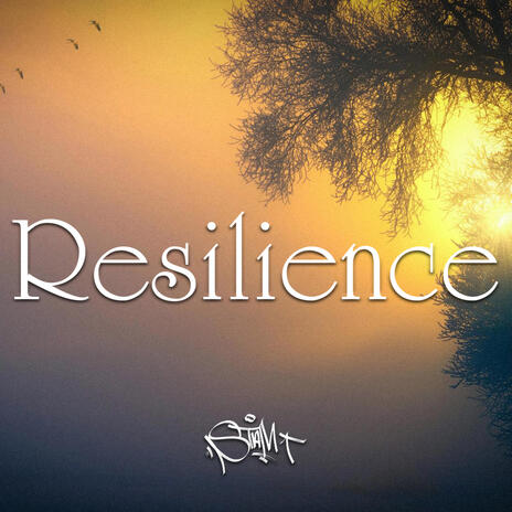 Resilience | Boomplay Music