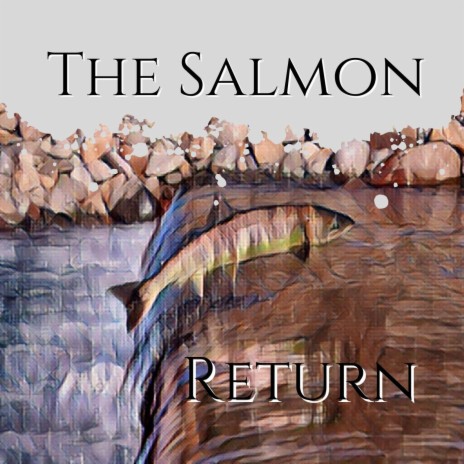 The Salmon Return | Boomplay Music