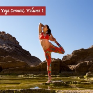 Yoga Connect, Vol. 1
