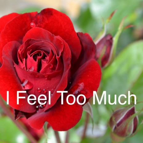 I Feel Too Much | Boomplay Music