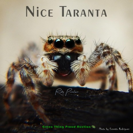 Nice Taranta ft. Green Thing Proud Auction | Boomplay Music