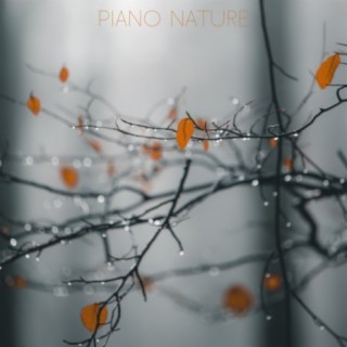 Piano Nature