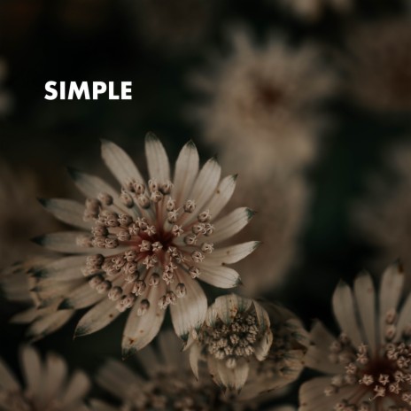 Simple Healing ft. Musique Ambiance Détente & Reiki Music Academy