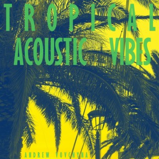 Tropical Acoustic Vibes