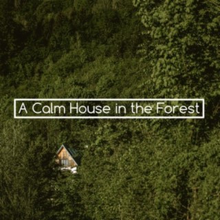 A Calm House in the Forest