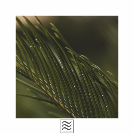 Blissful Rainfall | Boomplay Music