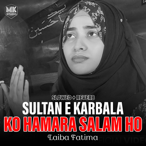 Sultan e Karbala Ko Hamara Salam Ho (Lofi-Mix) | Boomplay Music