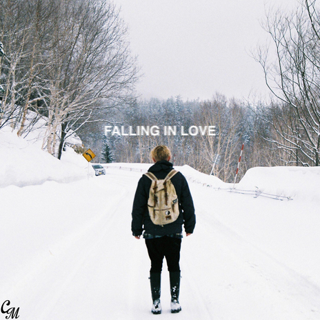 Falling In Love | Boomplay Music