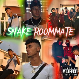 Snake Roommate Freestyle lyrics | Boomplay Music